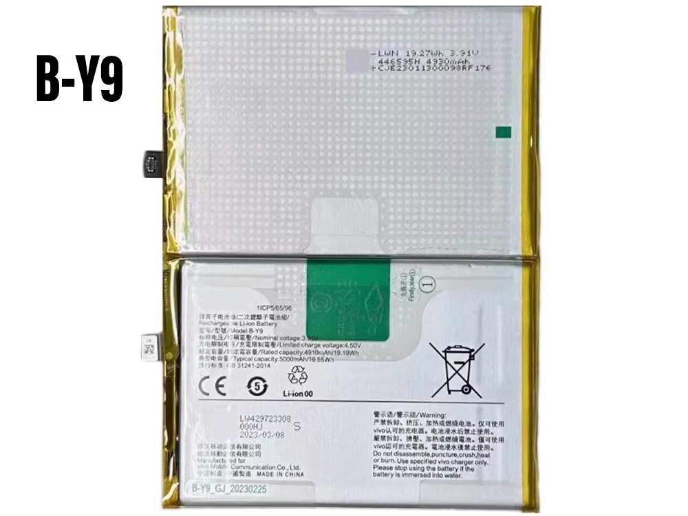 B-Y9 Batteria Per Cellulare