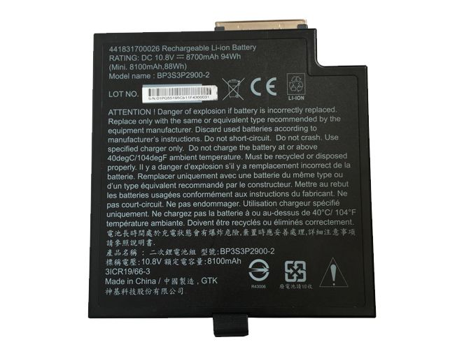 BP3S3P2900-2 Batteria portatile