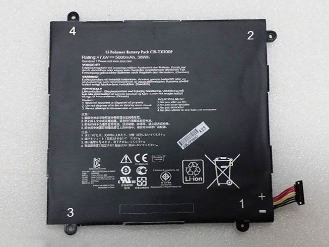 C21-TX300P Batteria portatile