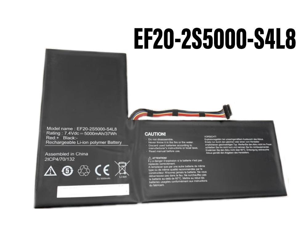 EF20-2S5000-S4L8 Batteria portatile