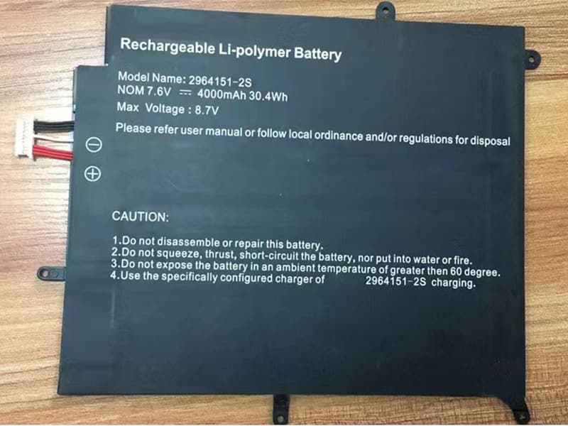 NV-2964151-2S Batteria portatile