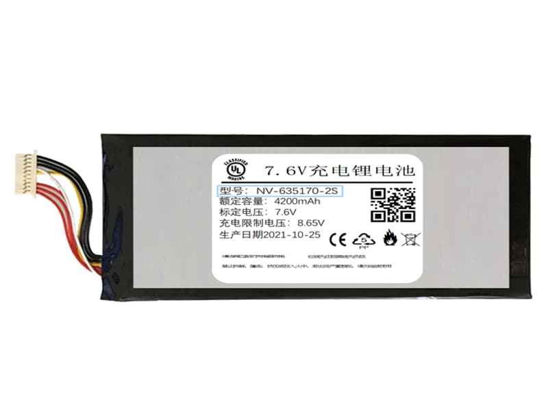 NV-635170-2S Batteria del tablet