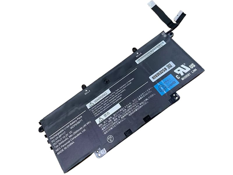 PC-VP-BP117 Batteria portatile