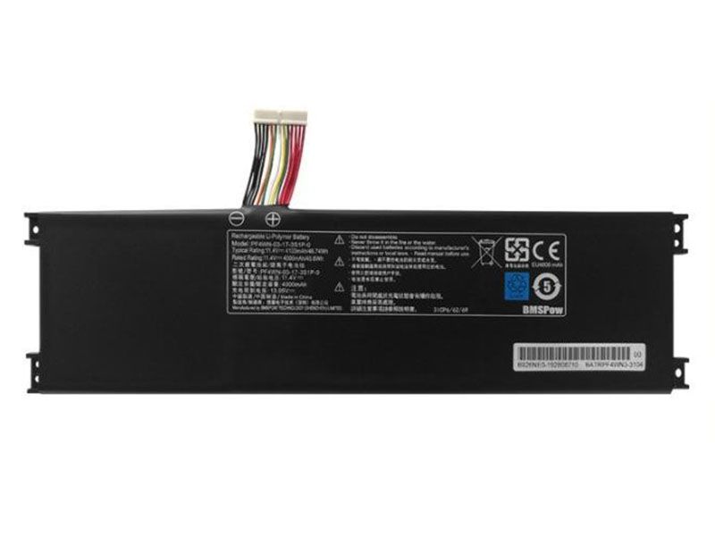 PF4WN-00-13-3S1P-0 Batteria portatile