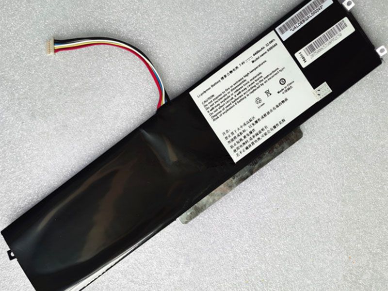 SSBS49 Batteria portatile