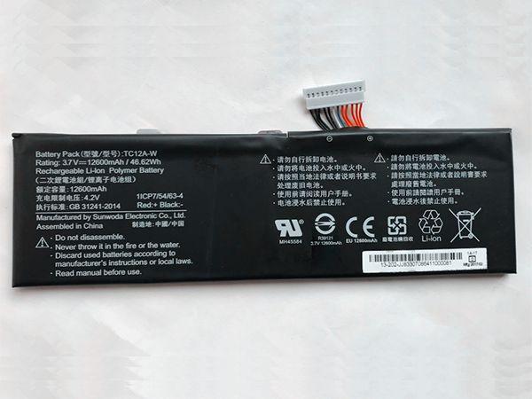 TC12A-W Batteria portatile